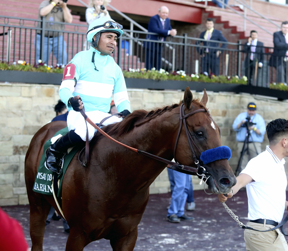 NBC teams up with horse racing network TVG for coverage success News
